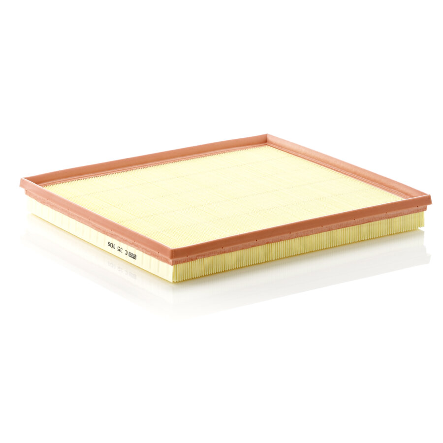 Filtro aria MANN C35009