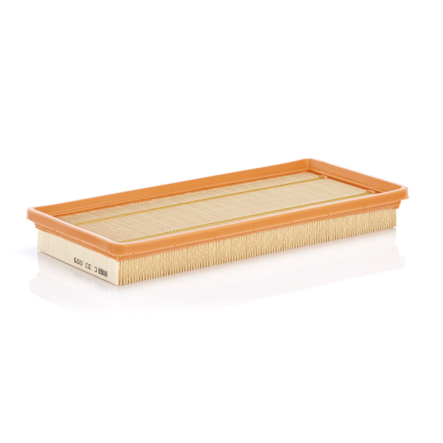 Filtro aria MANN C33005