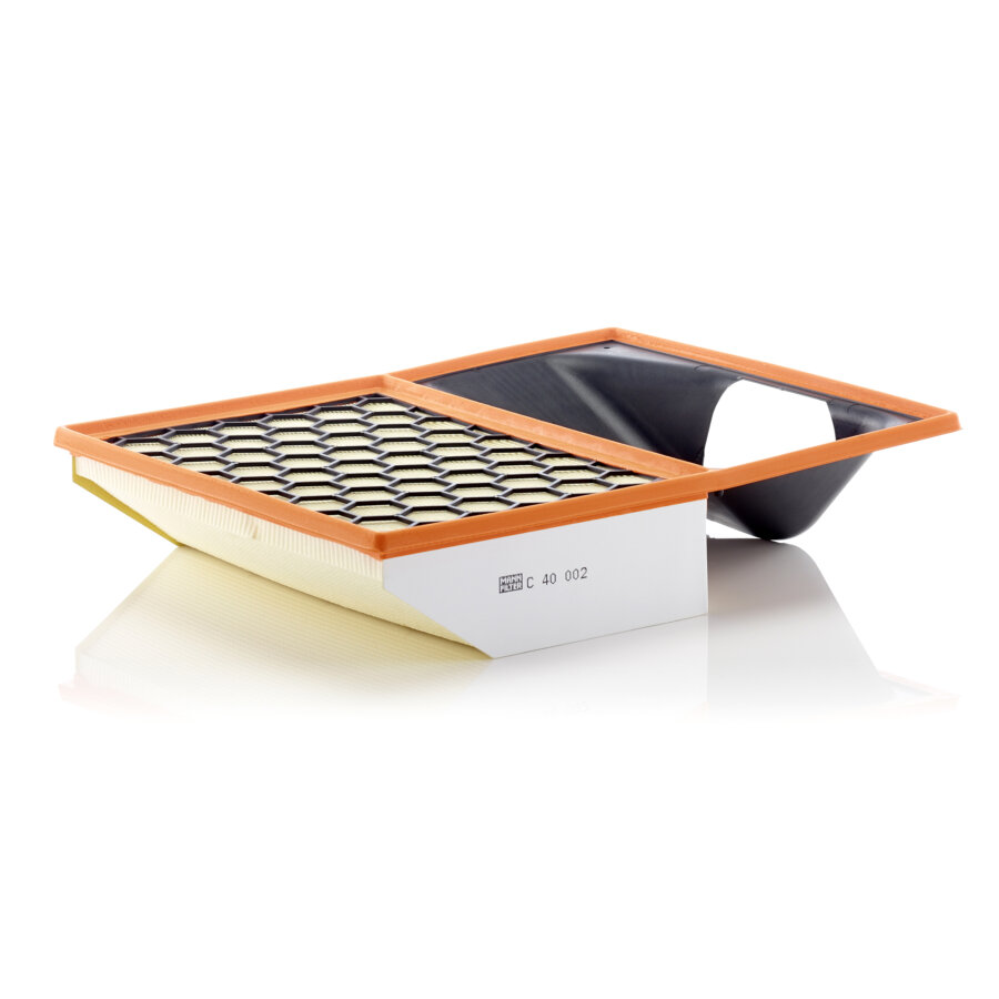 Filtro aria MANN C40002