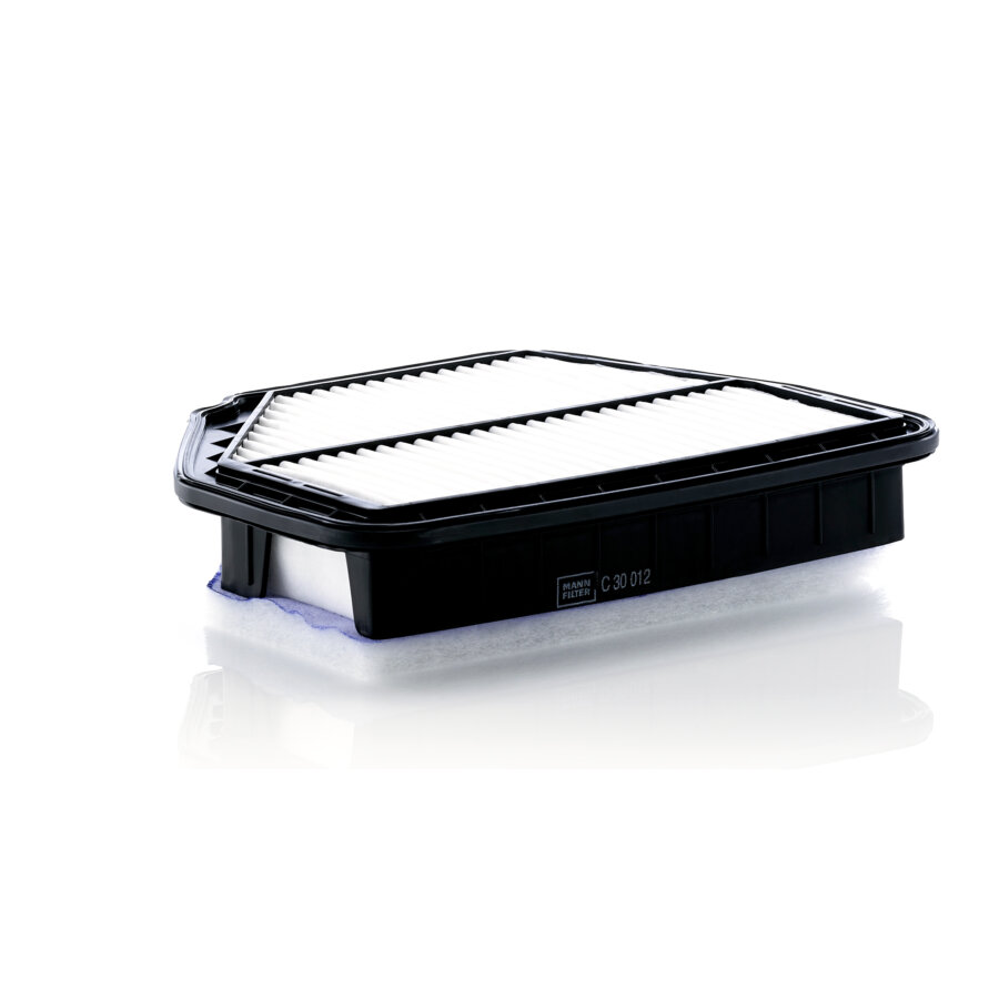 Filtro aria MANN C30012