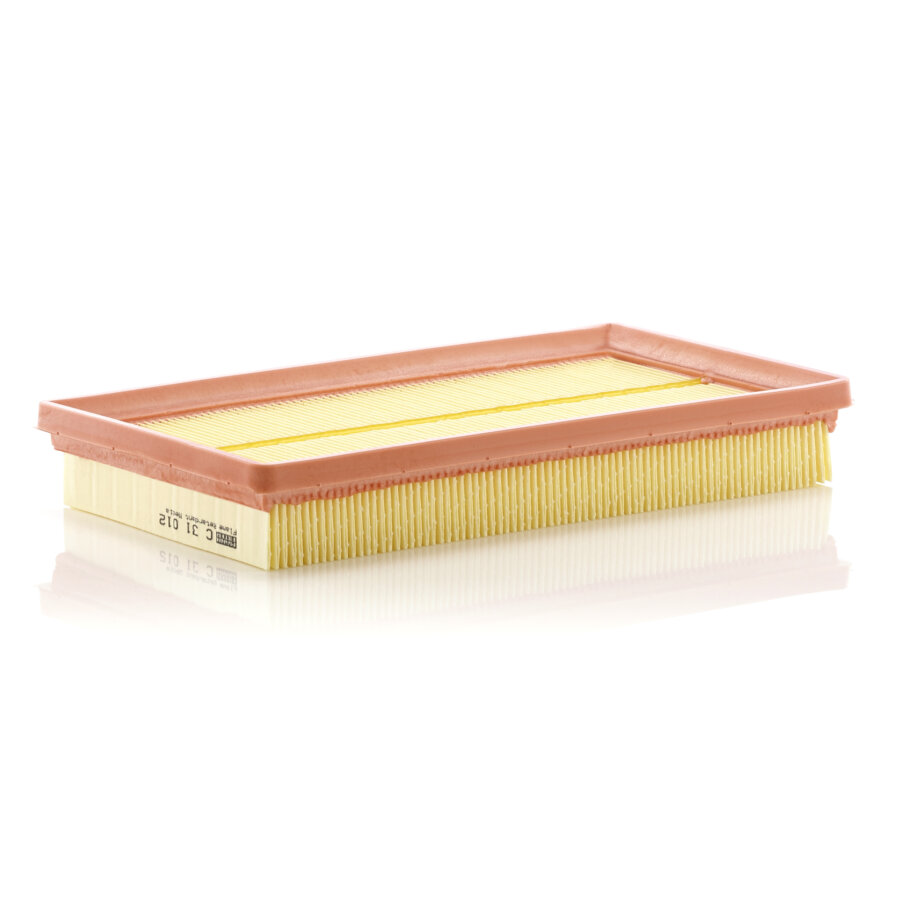 Filtro aria MANN C31012