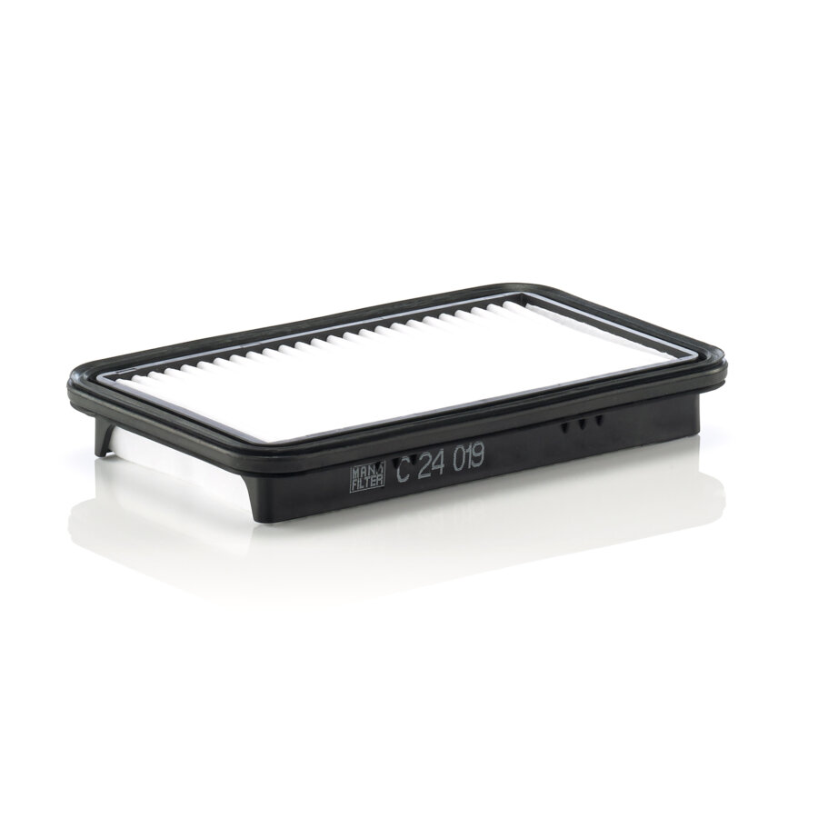 Filtro aria MANN C24019