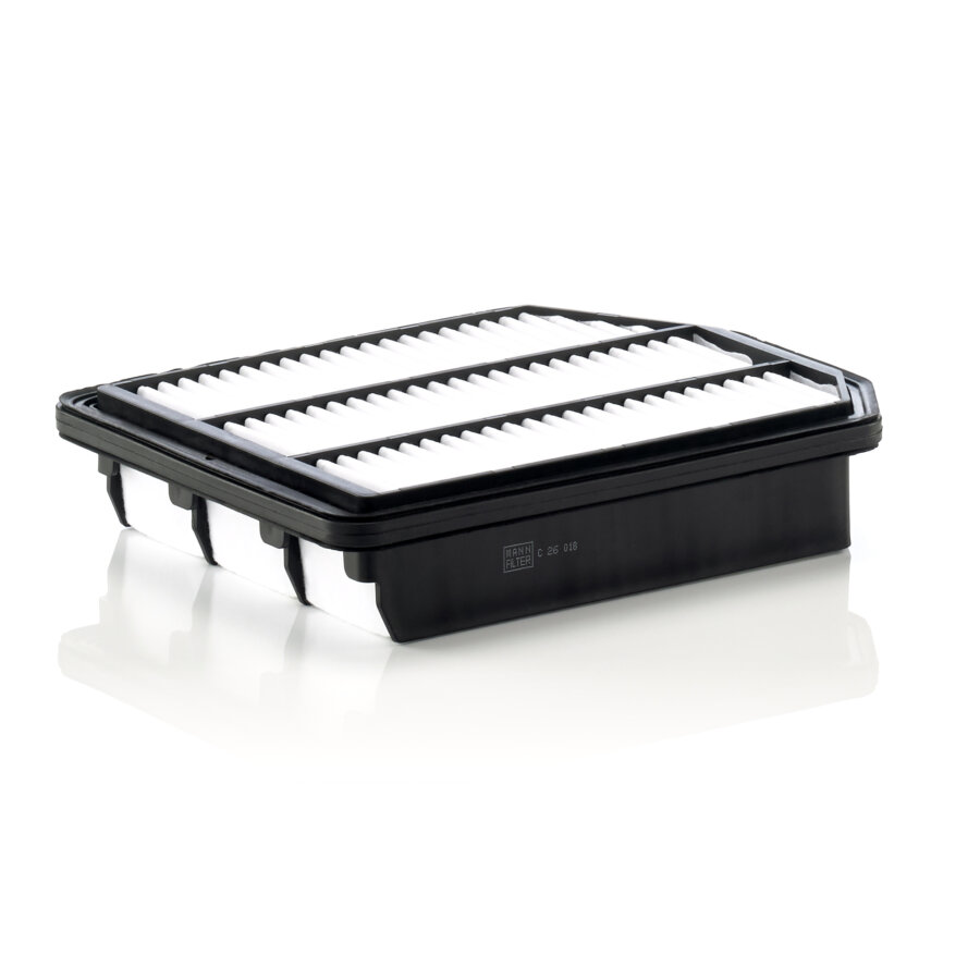 Filtro aria MANN C26018