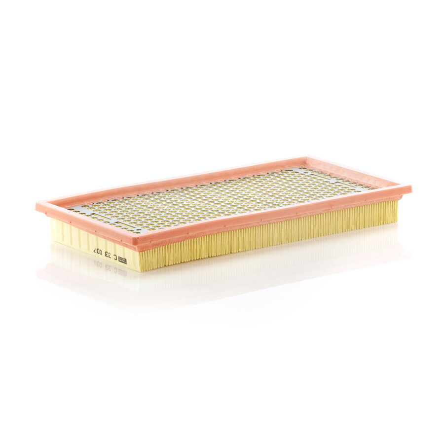 Filtro aria MANN C33007