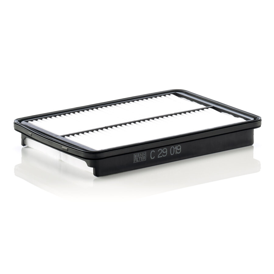 Filtro aria MANN C29019