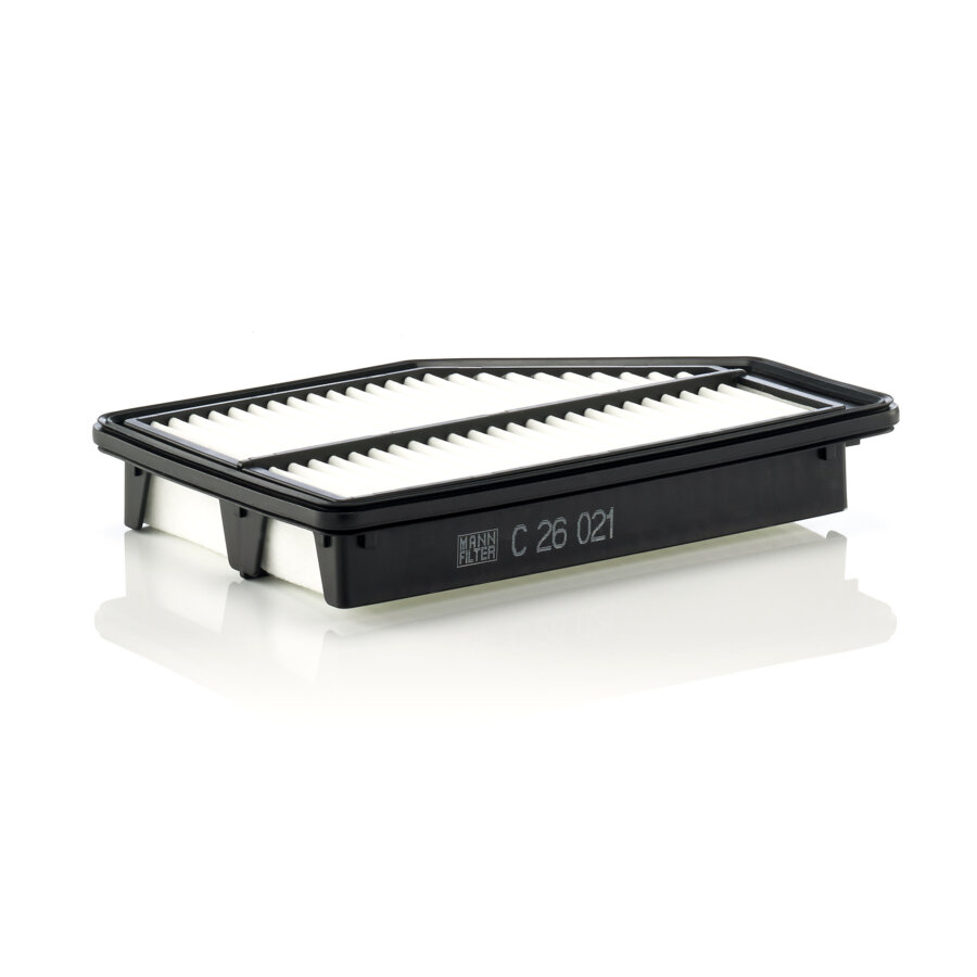 Filtro aria MANN C26021