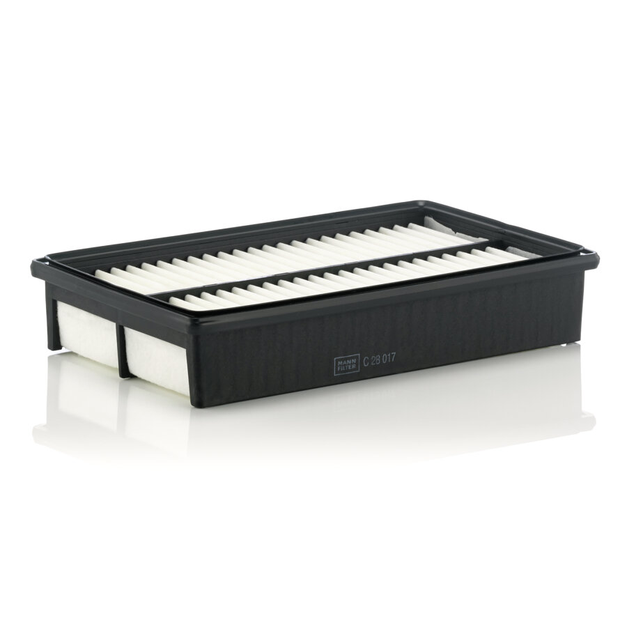 Filtro aria MANN C28017