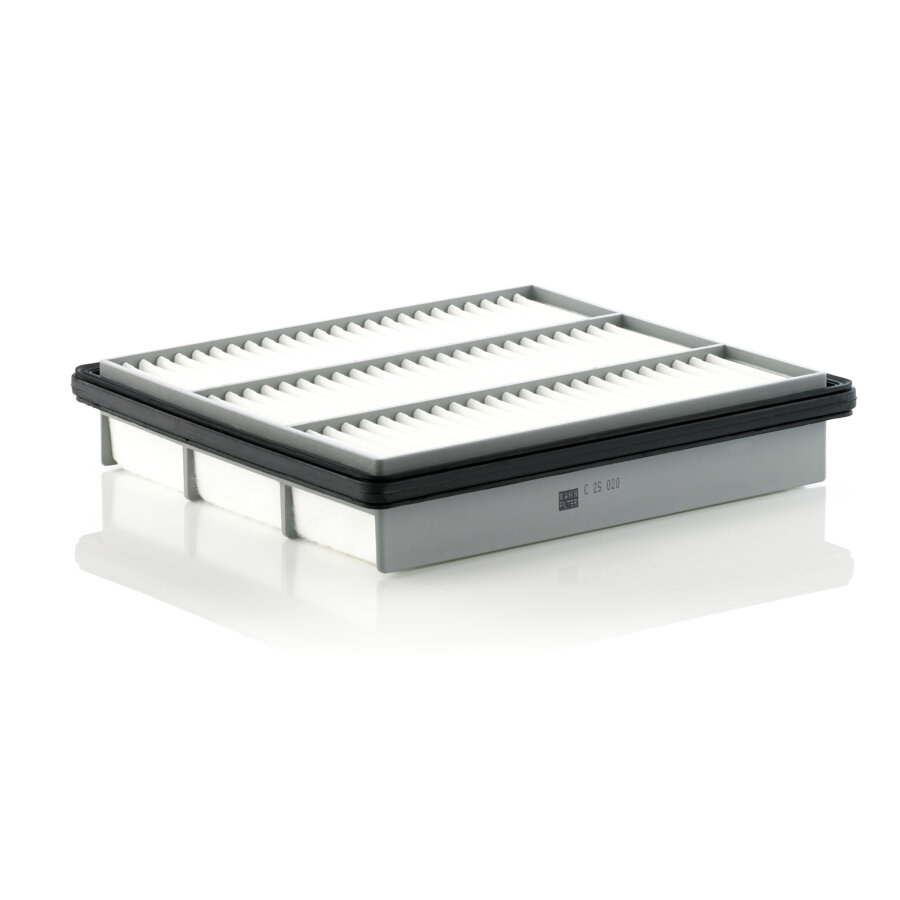 Filtro aria MANN C25020