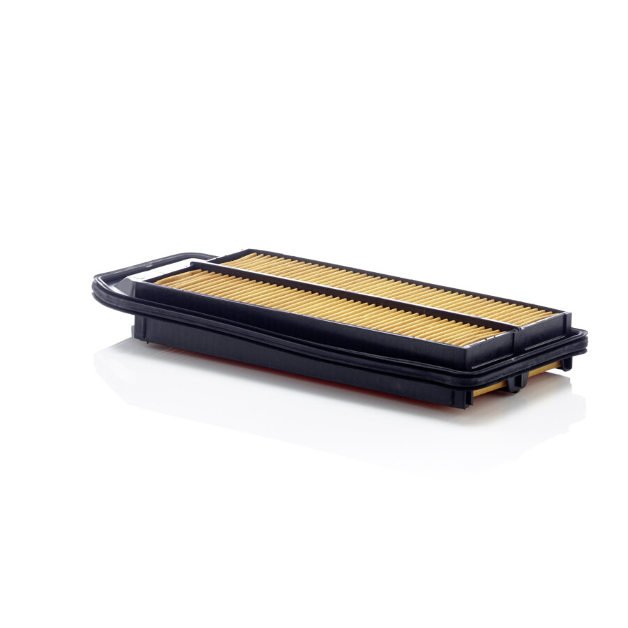 Filtro aria MANN C3434