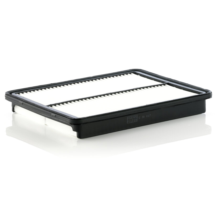 Filtro aria MANN C30017