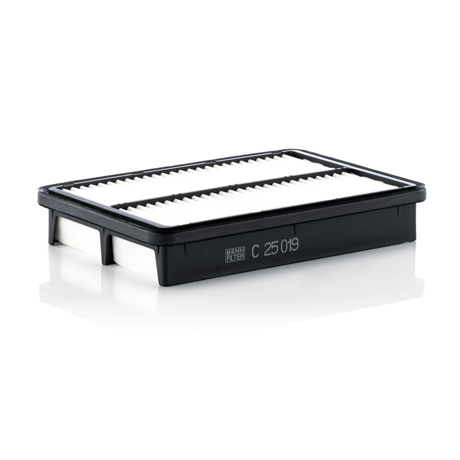 Filtro aria MANN C25019