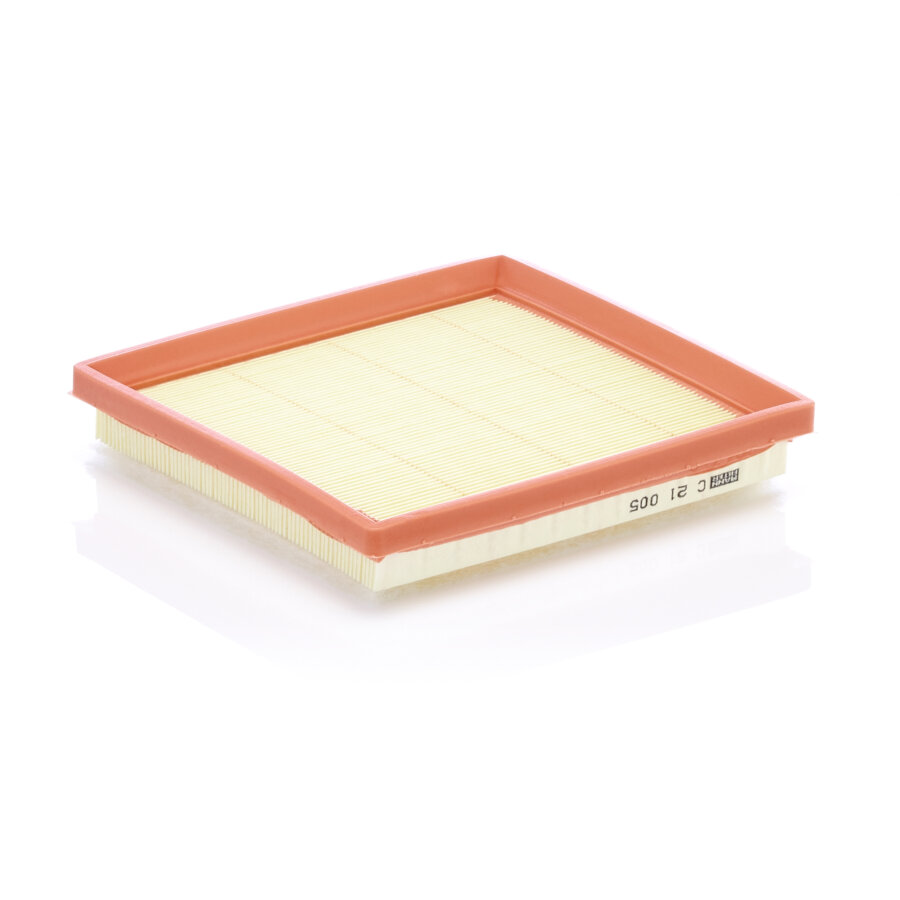 Filtro aria MANN C21005