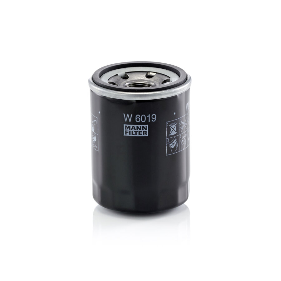 Filtro olio MANN W6019