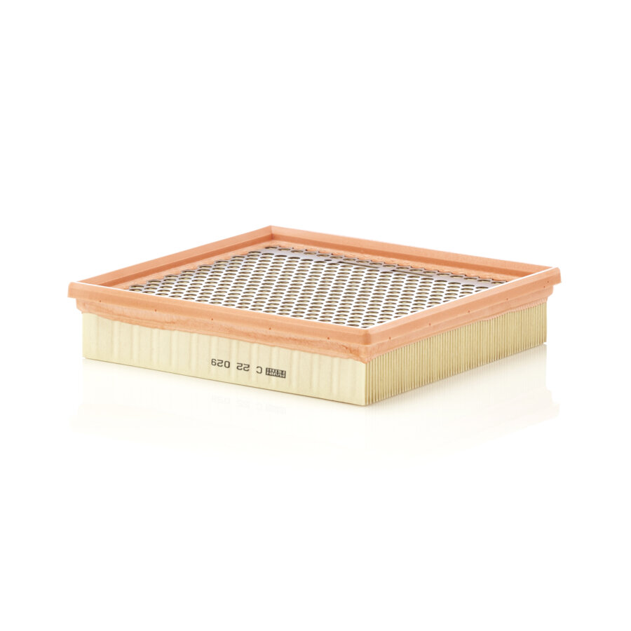 Filtro aria MANN C22029