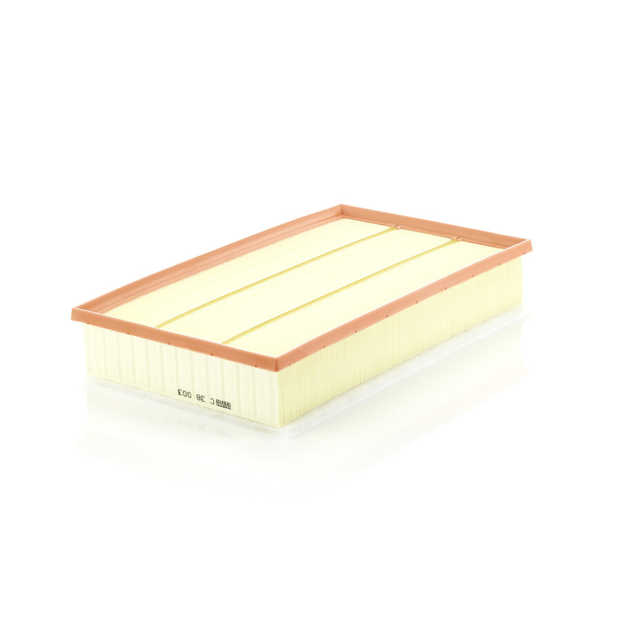 Filtro aria MANN C38003