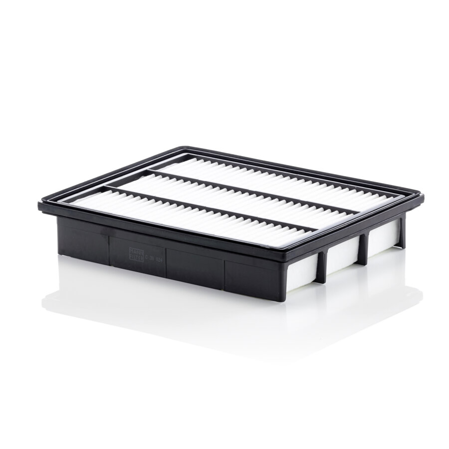 Filtro aria MANN C30024