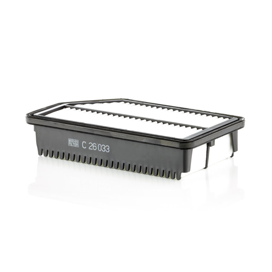 Filtro aria MANN C26033