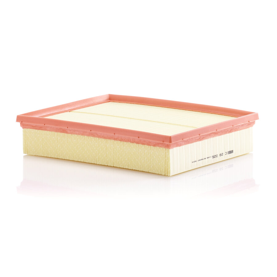 Filtro aria MANN C29029