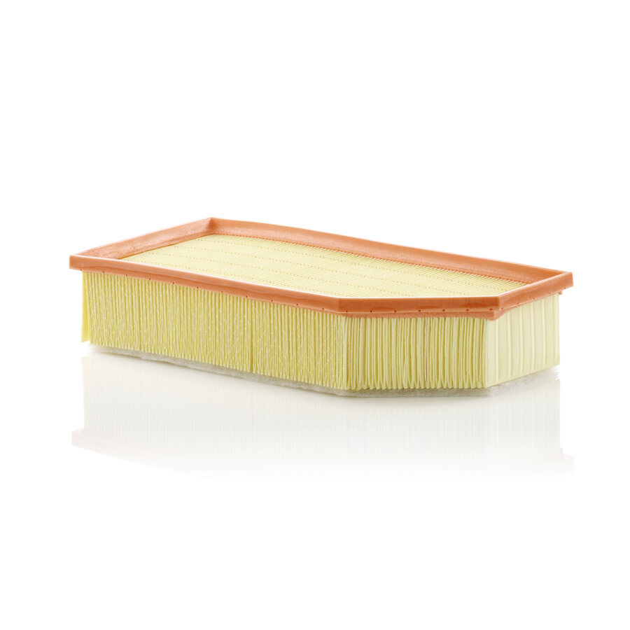 Filtro aria MANN C36030