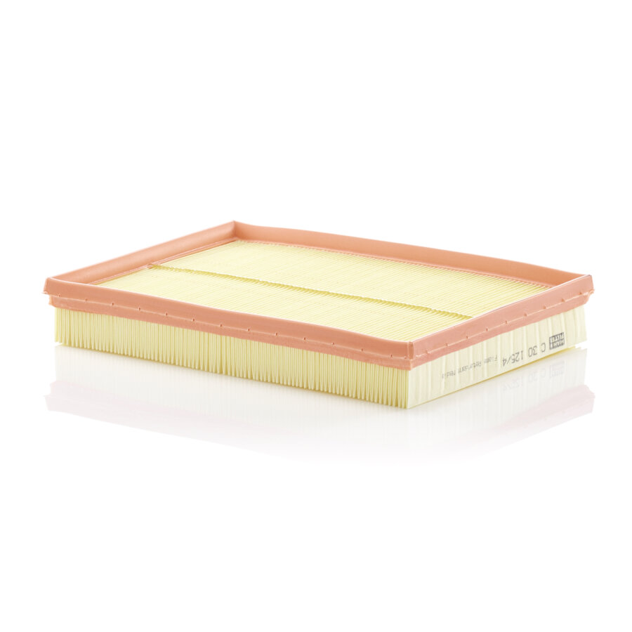 Filtro aria MANN C30125/4