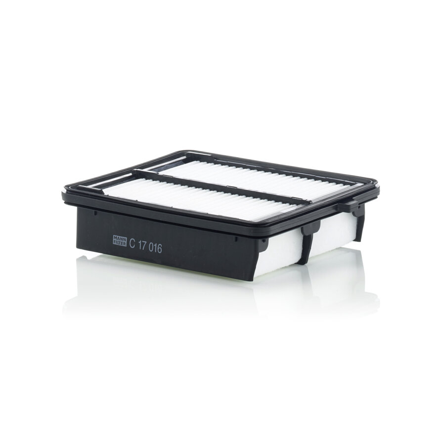 Filtro aria MANN C17016
