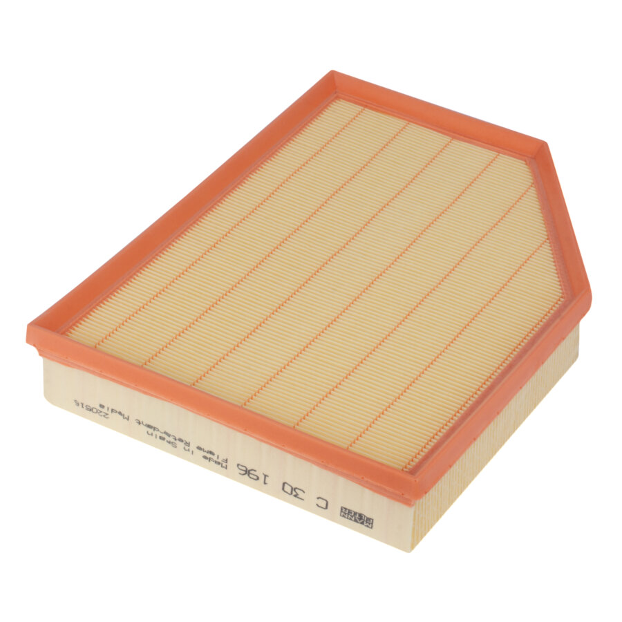 Filtro aria MANN C30196