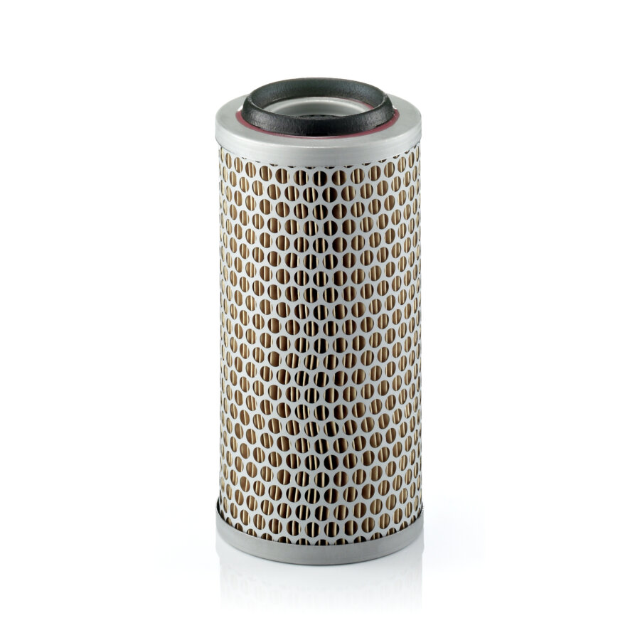 Filtro aria MANN C1176/3