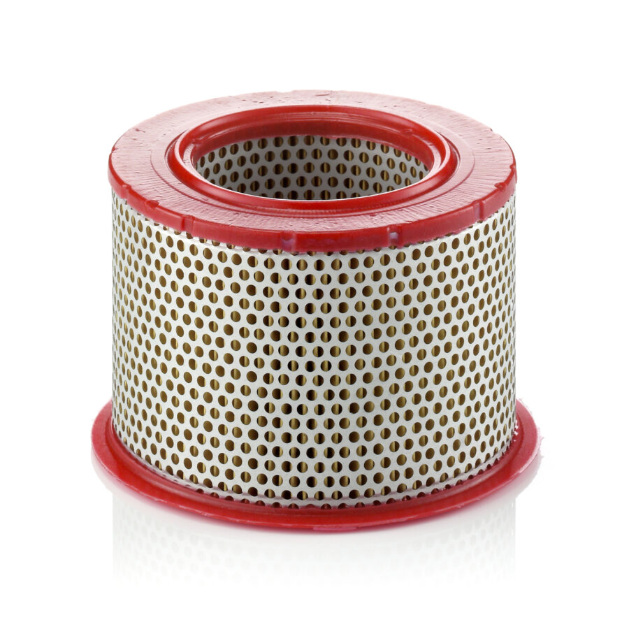 Filtro aria MANN C1555/1