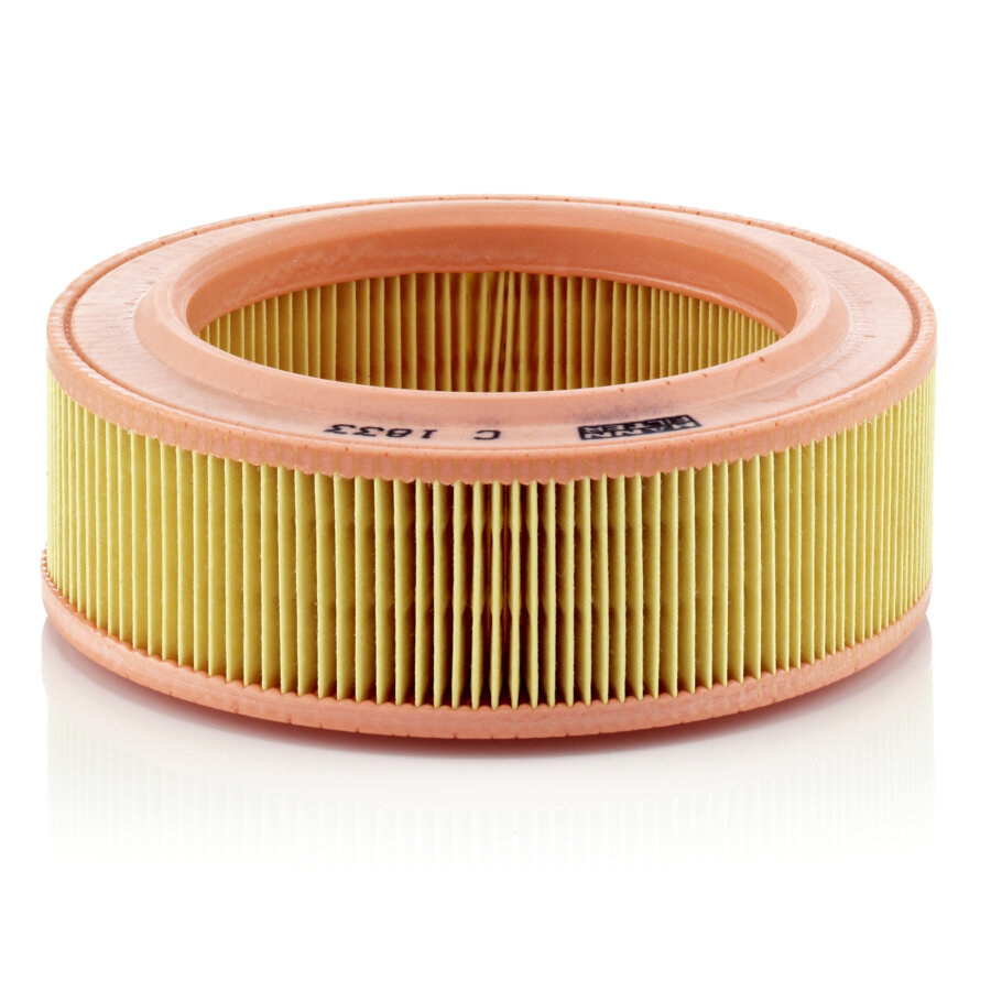 Filtro aria MANN C1833