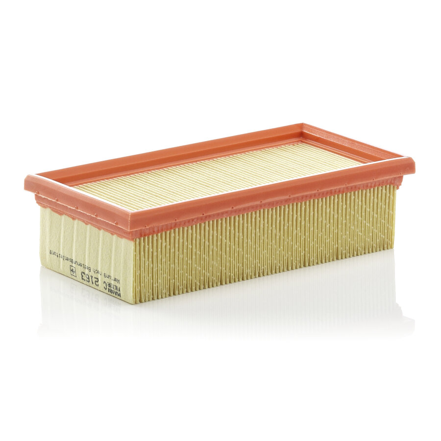 Filtro aria MANN C2163