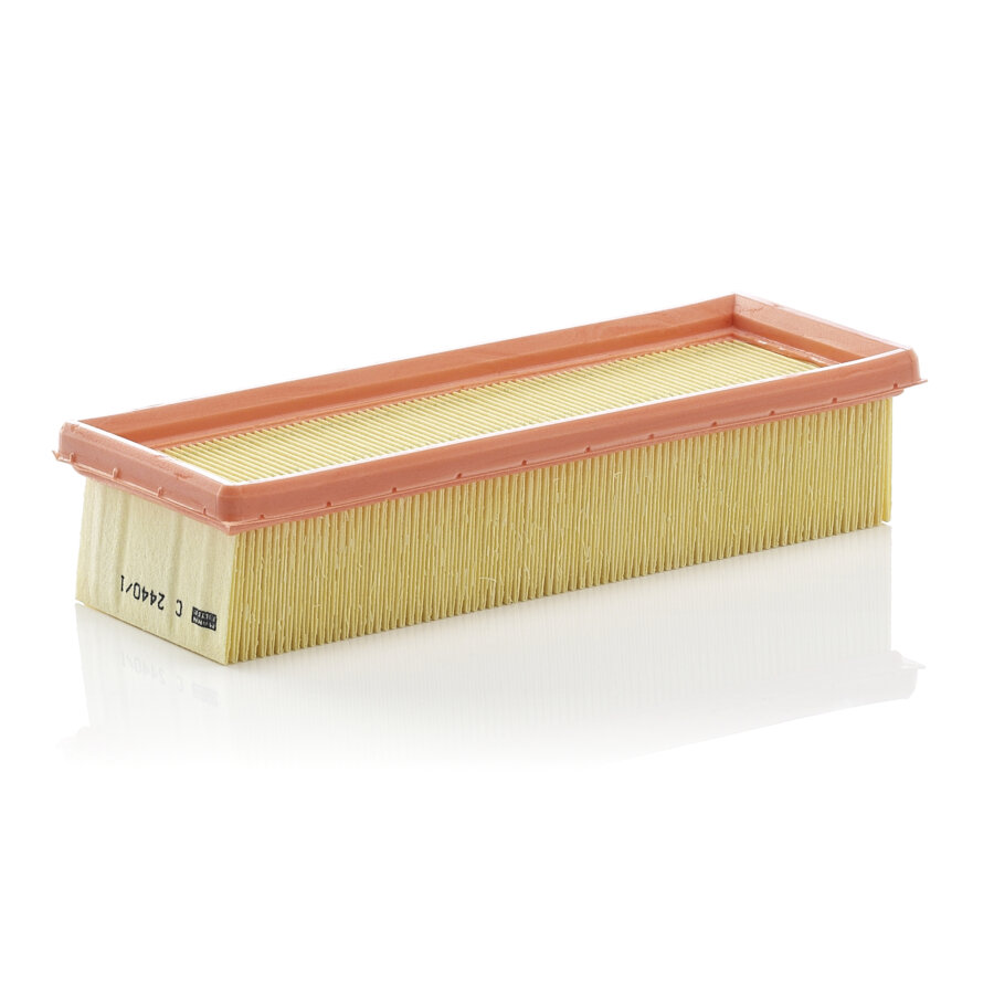 Filtro aria MANN C2440/1
