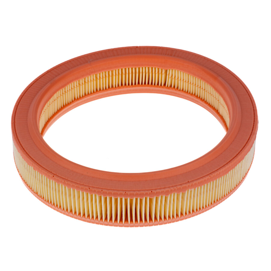 Filtro aria MANN C2534