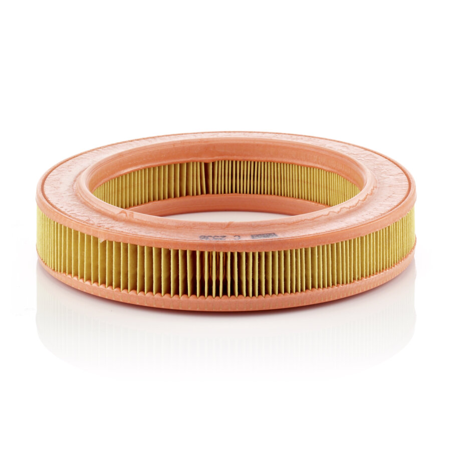Filtro aria MANN C2536