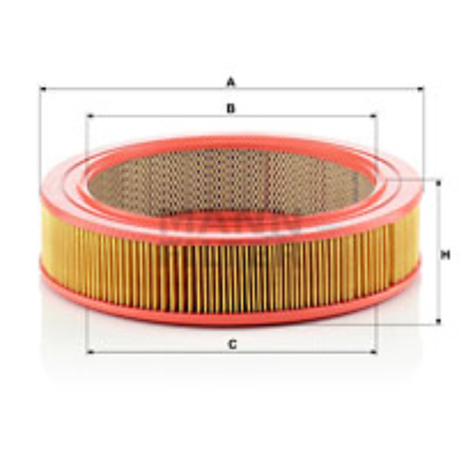 Filtro aria MANN C2645