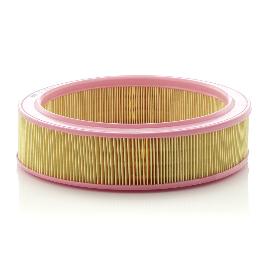 Filtro aria MANN C2760