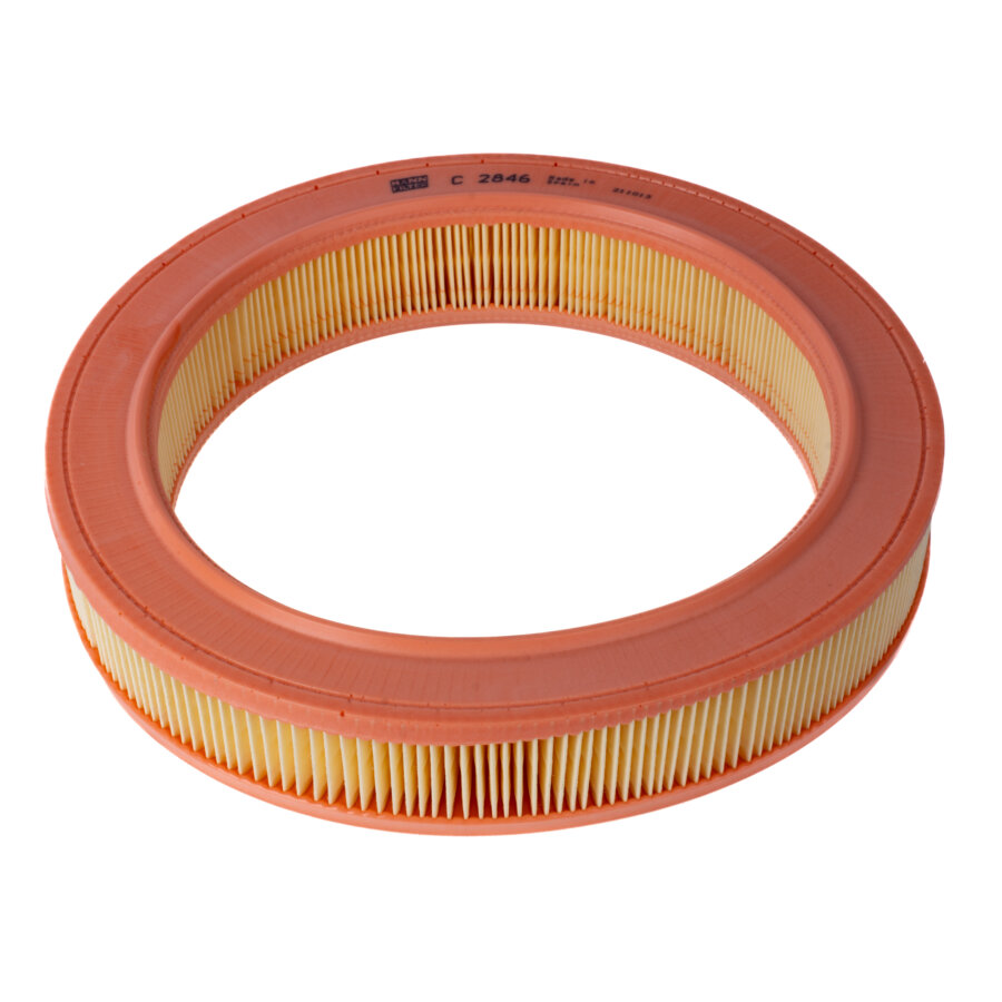 Filtro aria MANN C2846