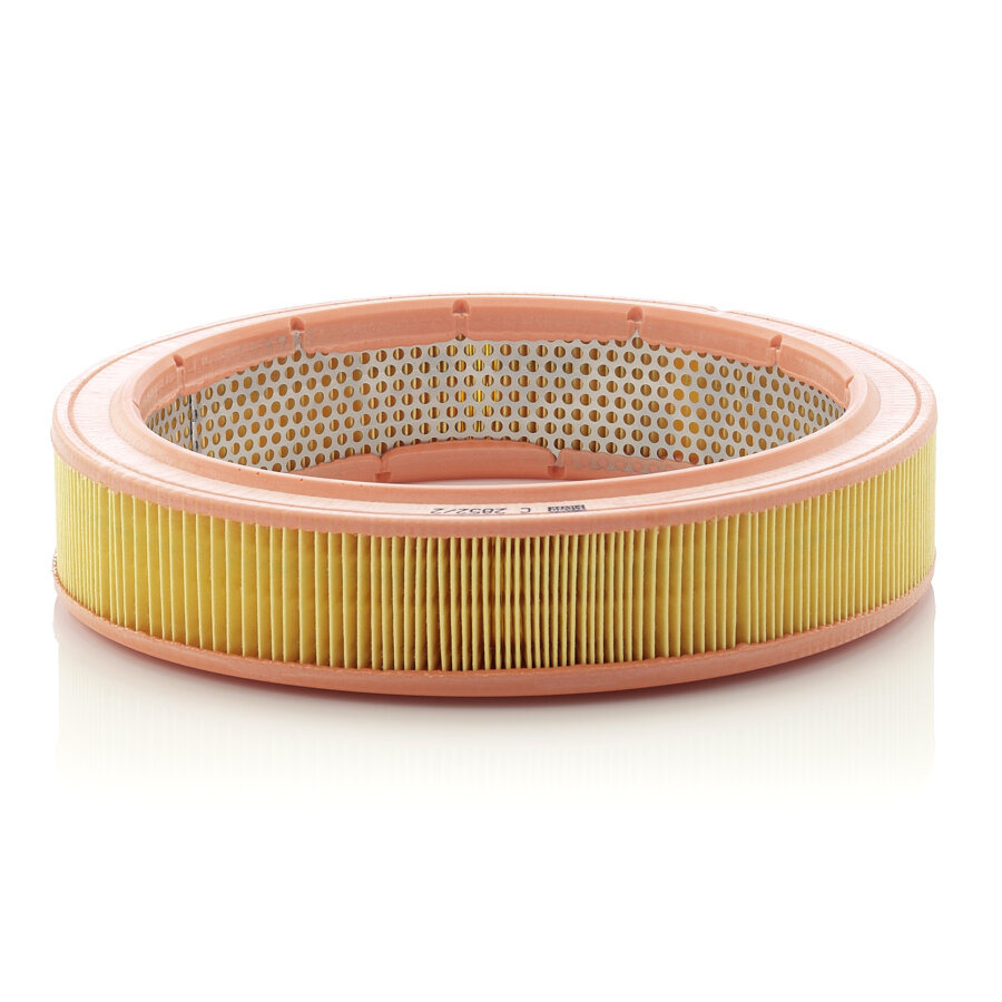 Filtro aria MANN C2852/2