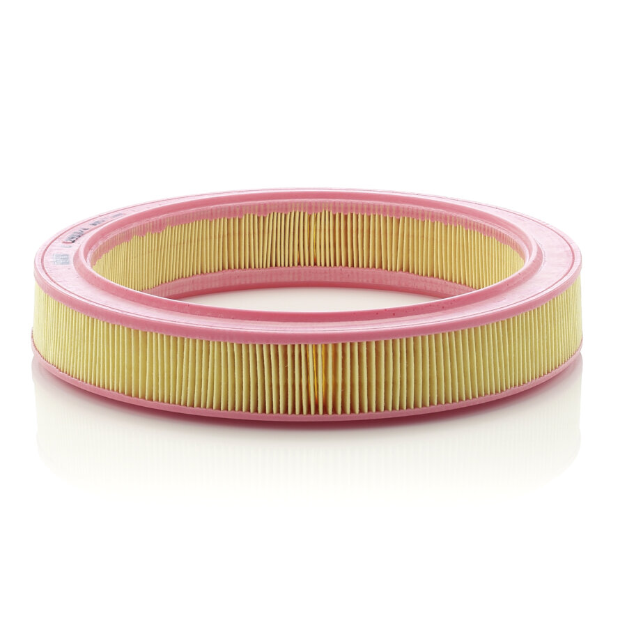Filtro aria MANN C2953/1
