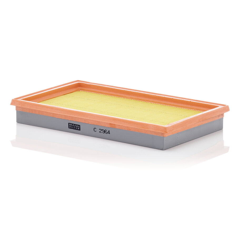 Filtro aria MANN C2964