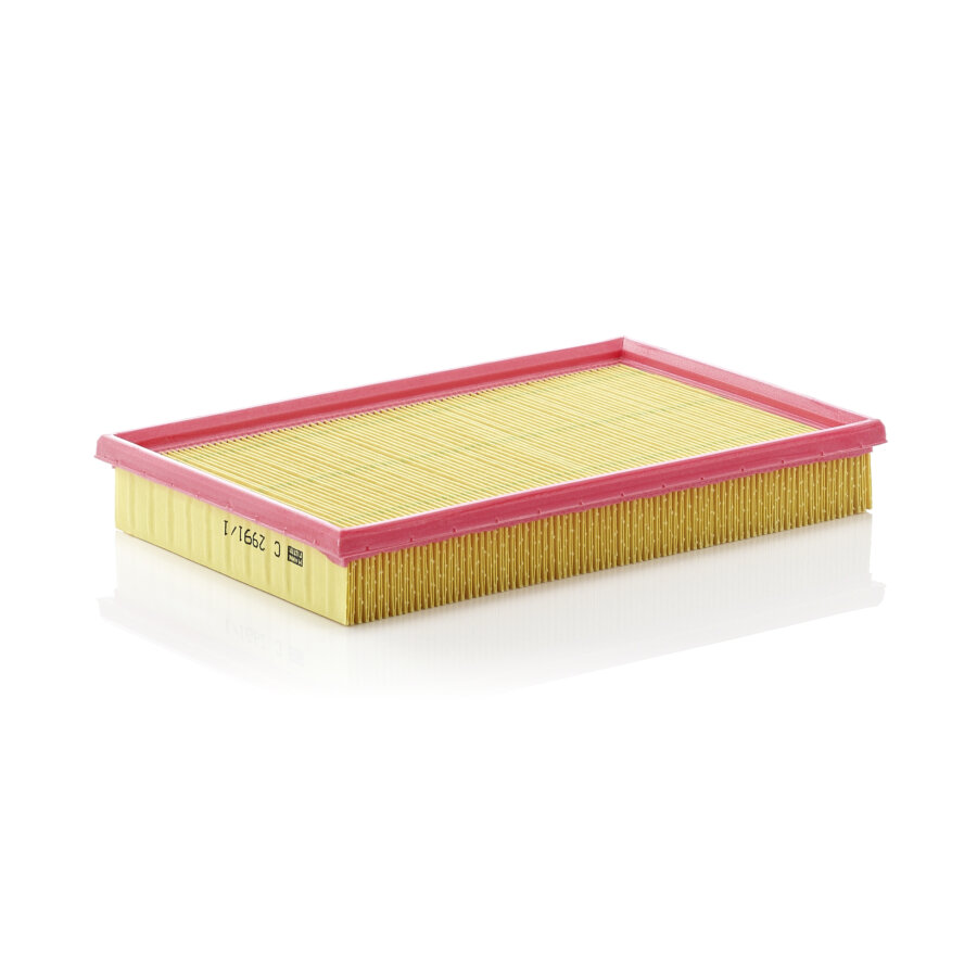 Filtro aria MANN C2991/1