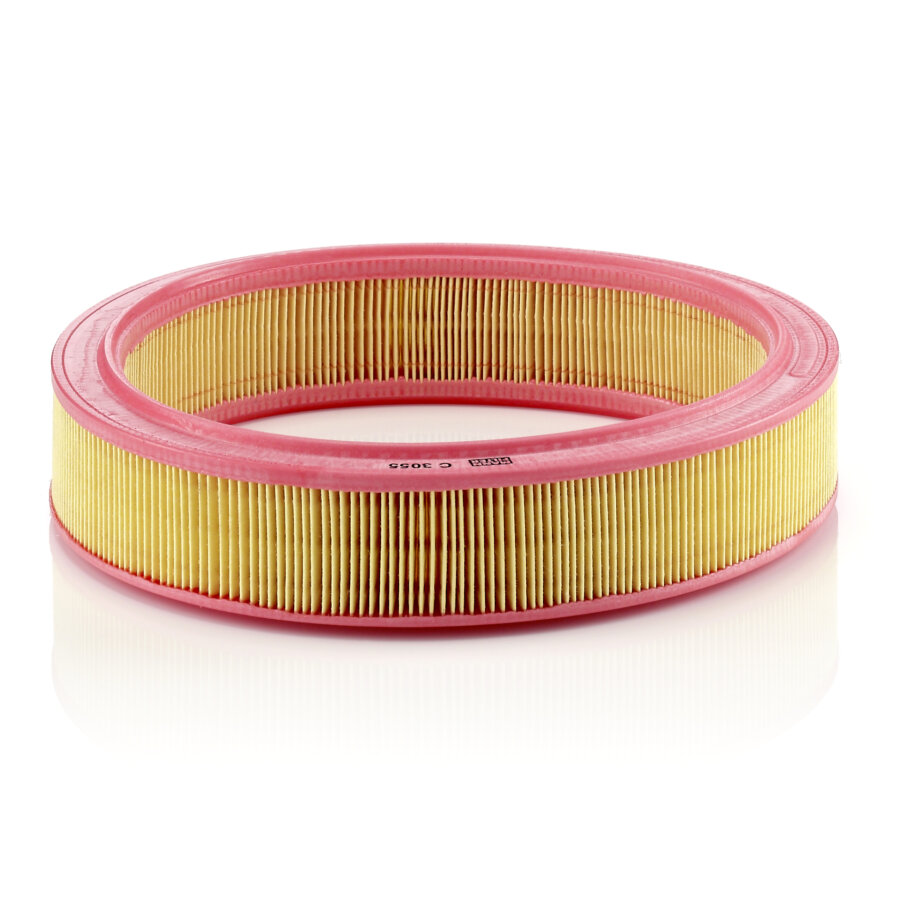 Filtro aria MANN C3055