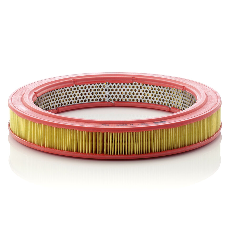 Filtro aria MANN C3260