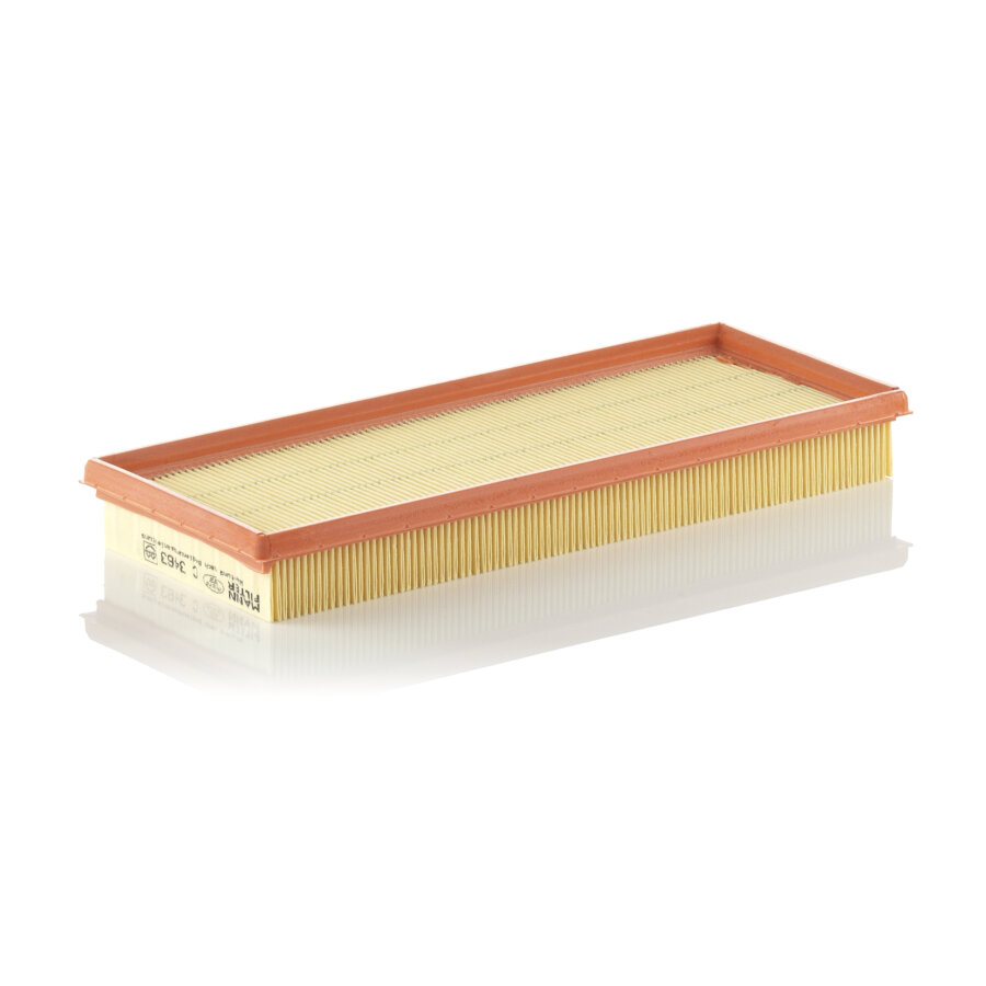 Filtro aria MANN C3463