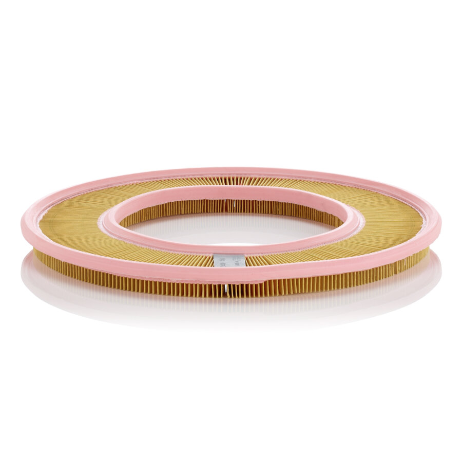 Filtro aria MANN C4190