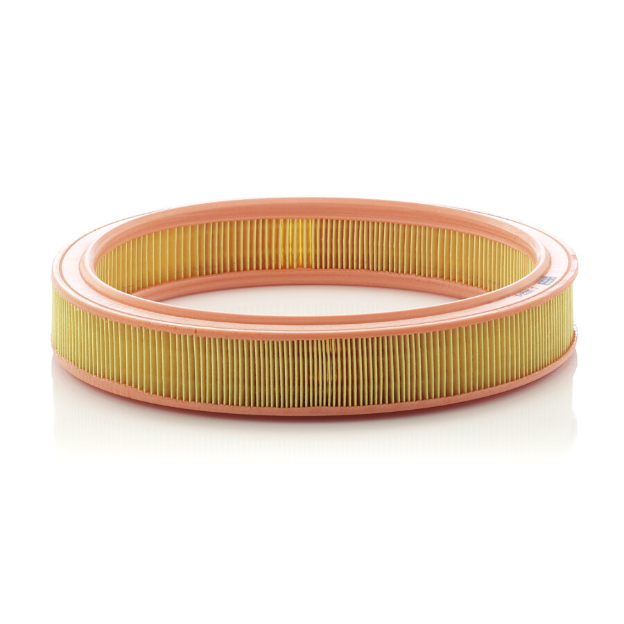 Filtro aria MANN C3032/1