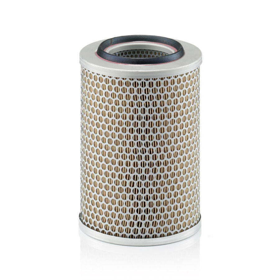Filtro aria MANN C17201