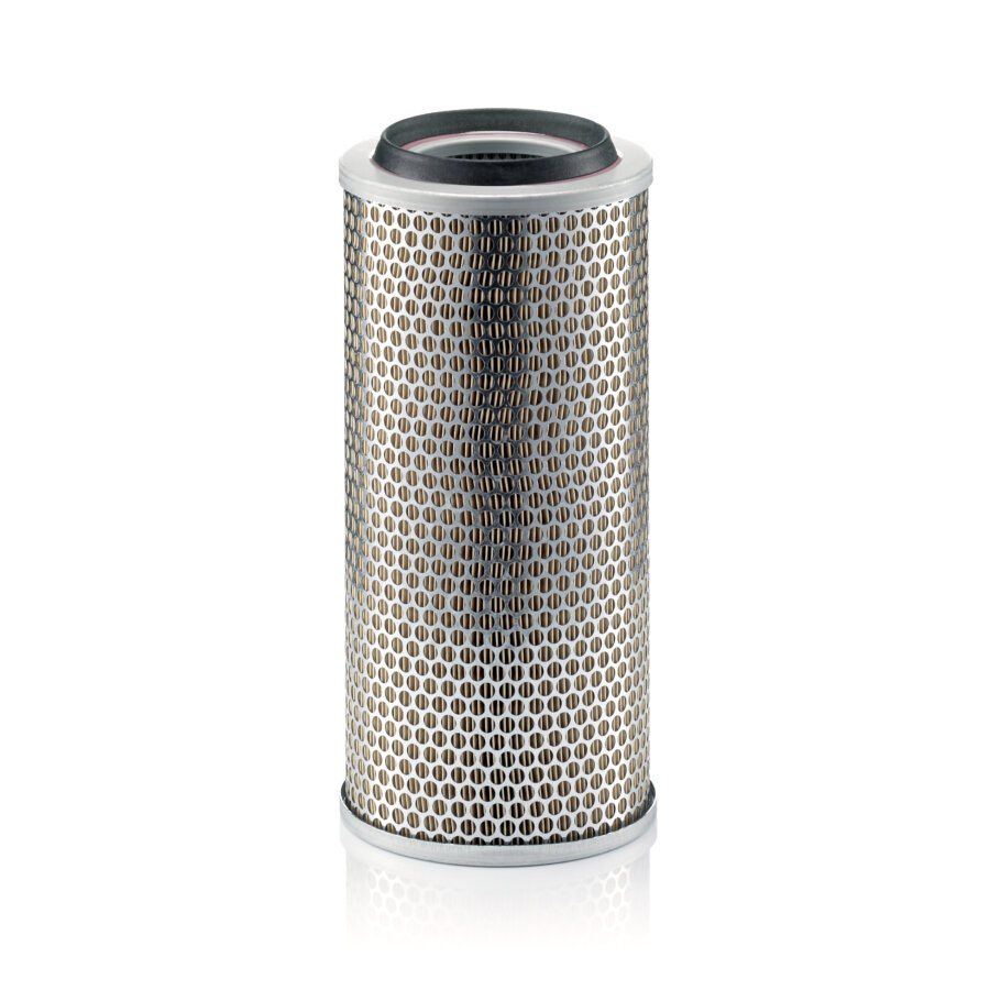 Filtro aria MANN C17225/3