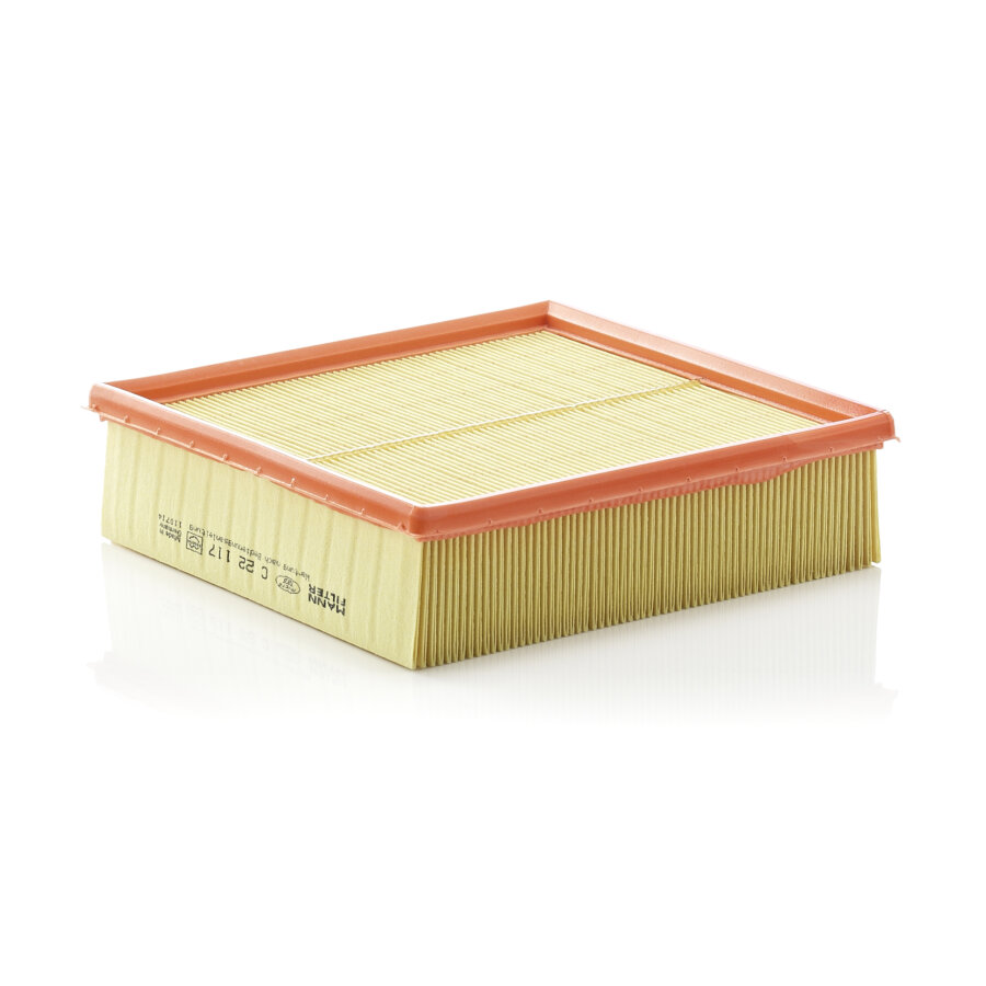 Filtro aria MANN C22117