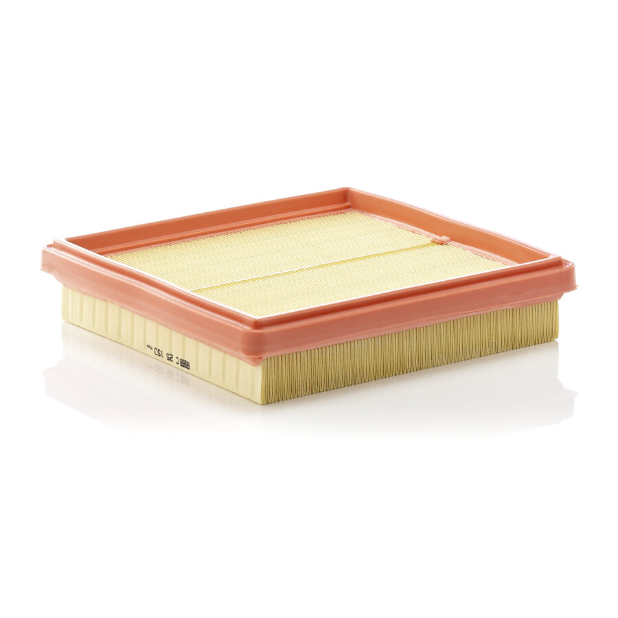 Filtro aria MANN C25153