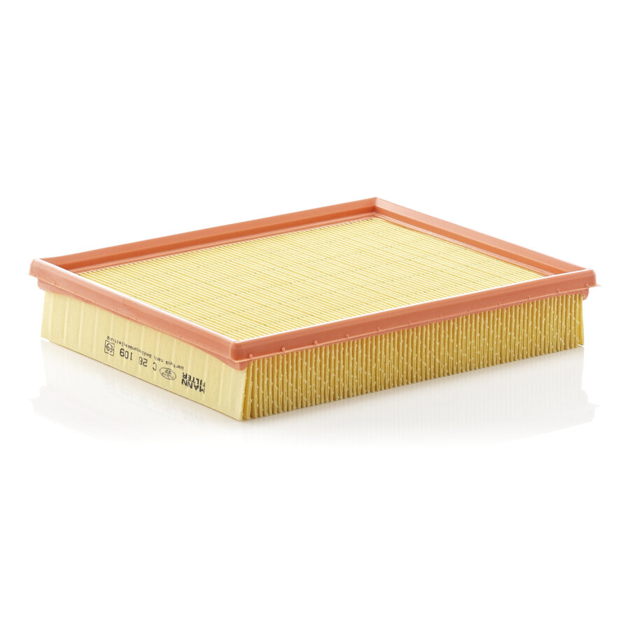 Filtro aria MANN C26109